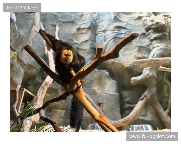 爱玩游戏的小辉化身探险达人开启疯狂动物园奇妙冒险之旅