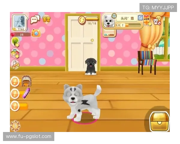 想看小狗做游戏时可以用什么样的回应方式来表达关心与喜爱